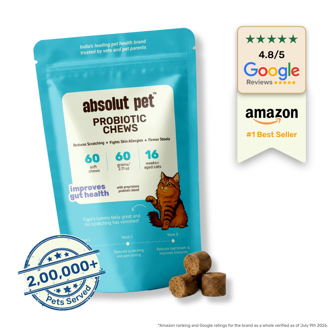 Cat Probiotic Supplement