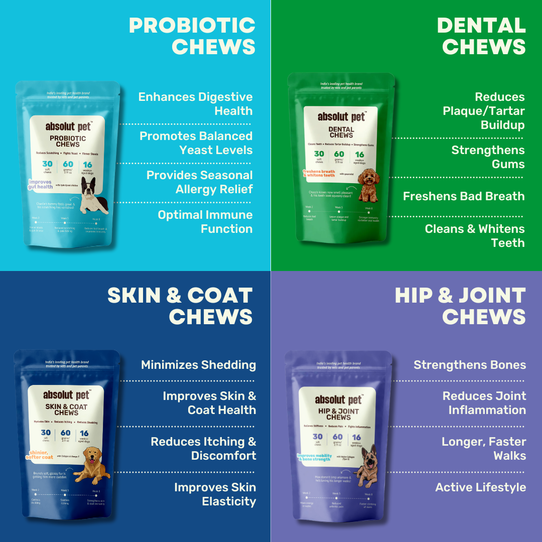 Probiotic, Hip & Joint, Skin & Coat & Dental Combo