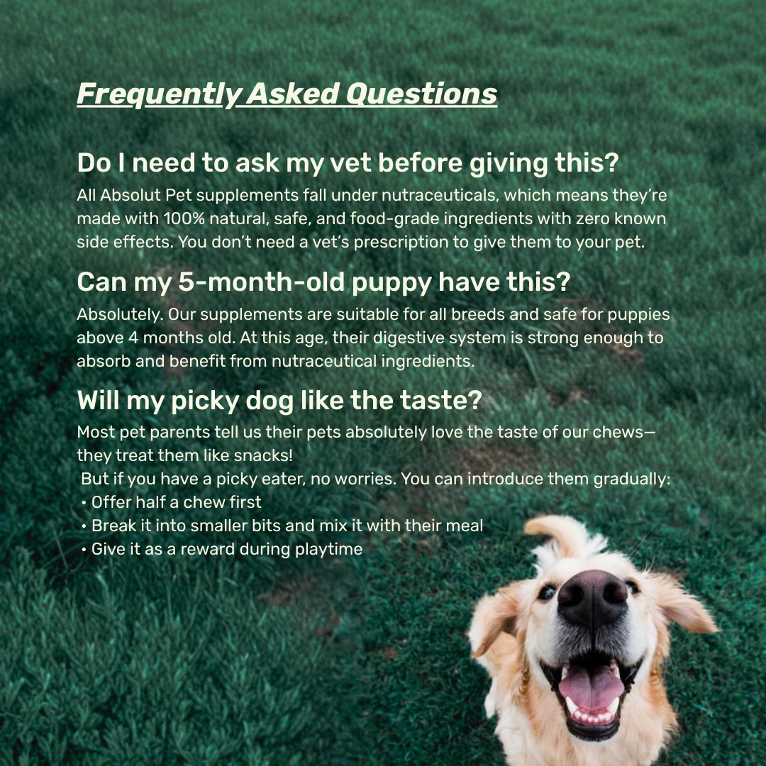Probiotic, Hip & Joint, Skin & Coat & Dental Combo