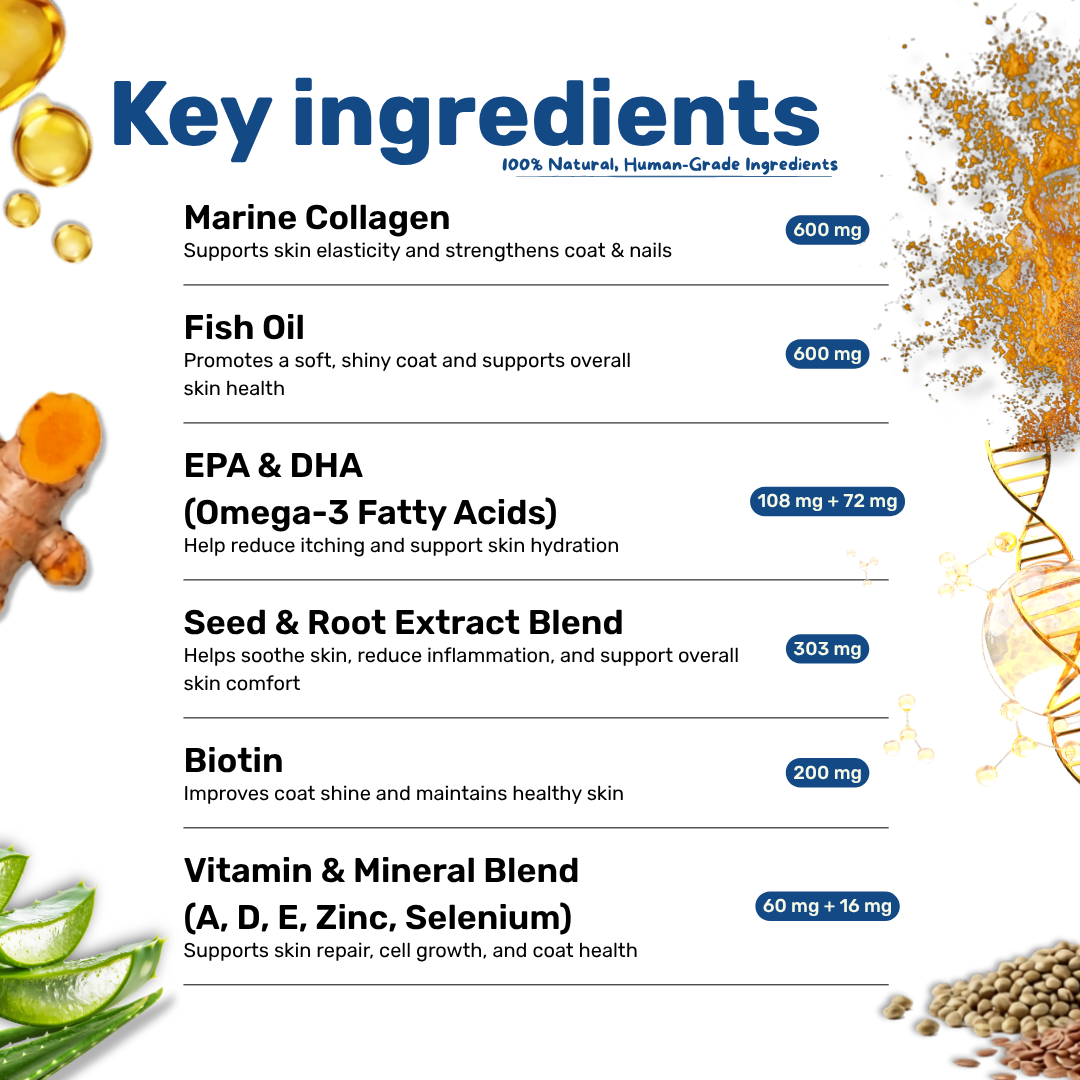Cat Skin & Coat Supplement