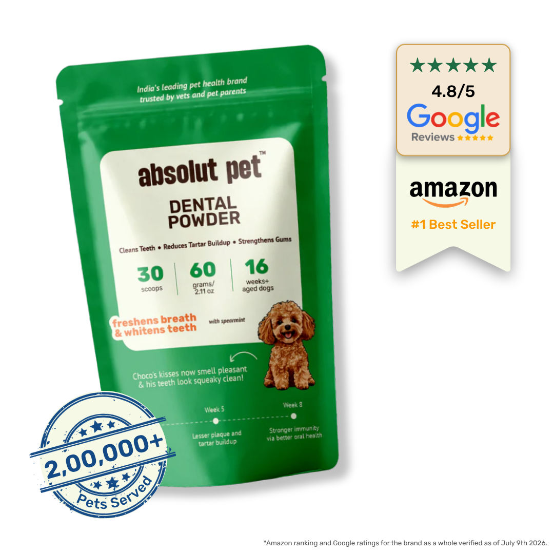 Dental Supplement