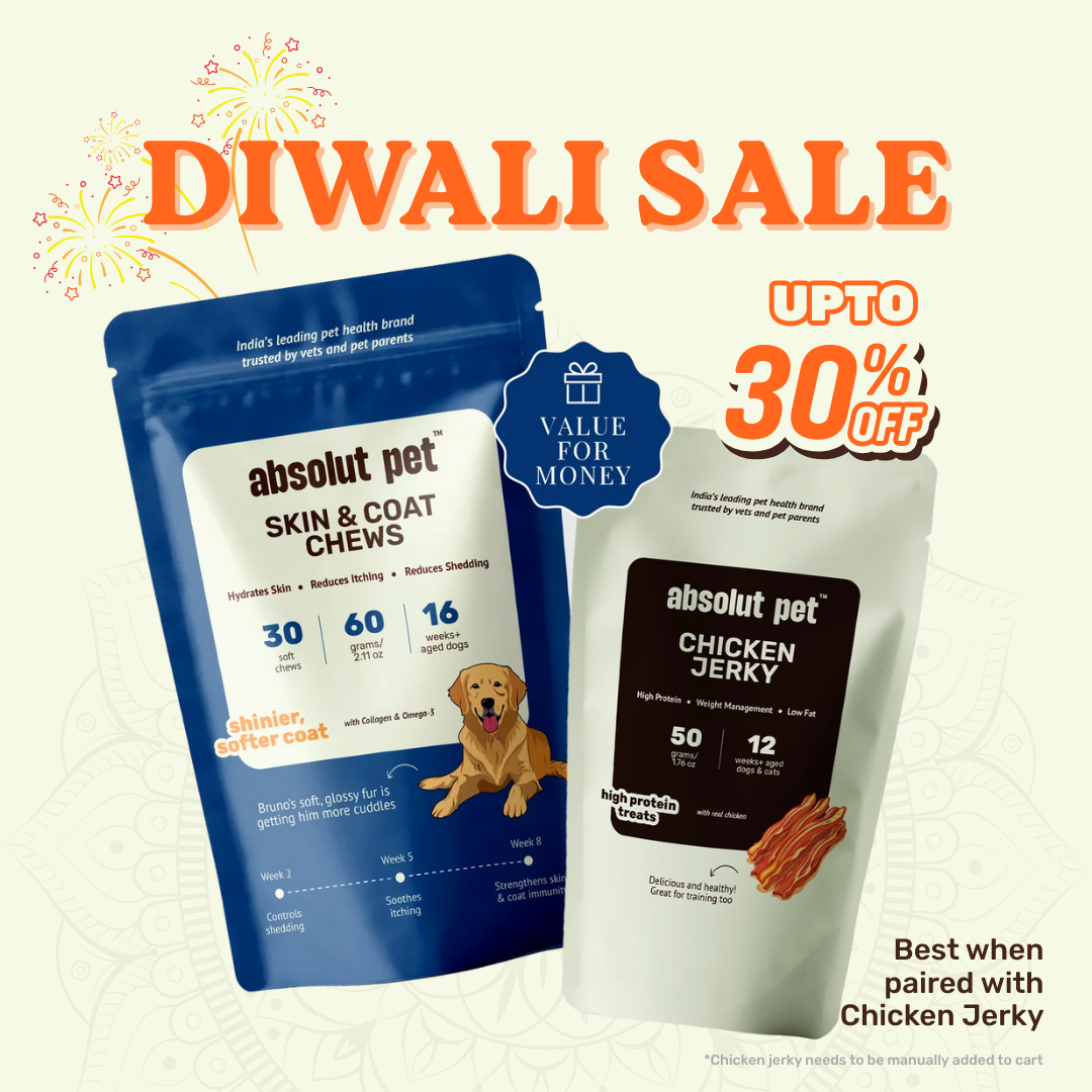 Skin & Coat Chews