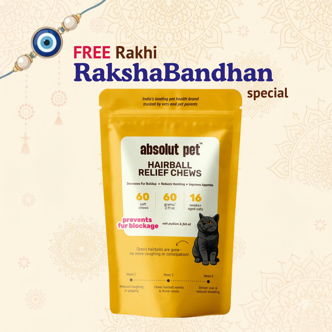 Cat Hairball Relief Supplement