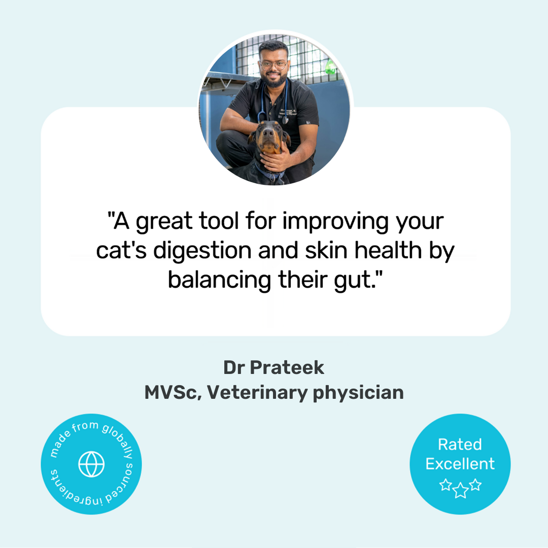 Cat Probiotic Mousse