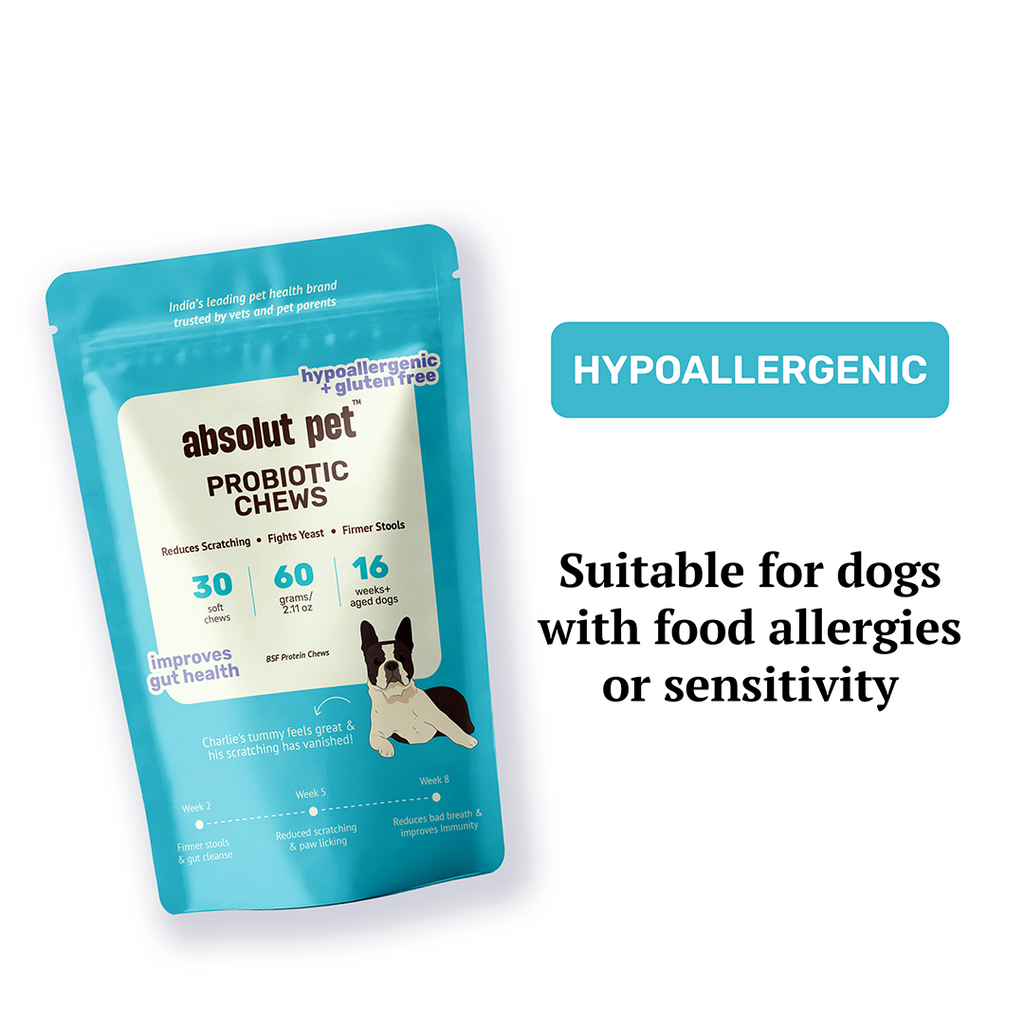 Probiotic & Gut Chews | #1 Probiotics for Dogs – Absolut Pet India