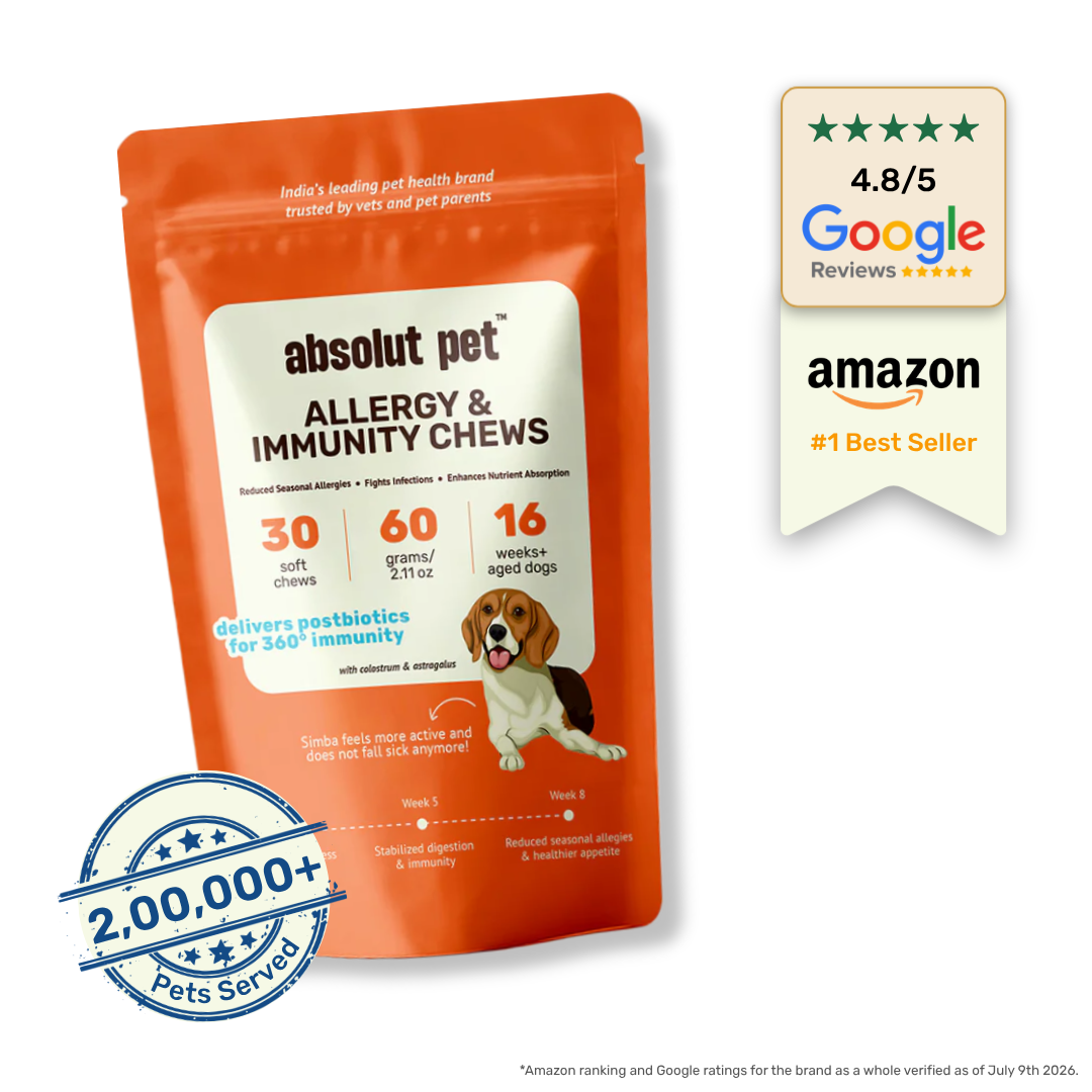 Allergy & Immunity Chews