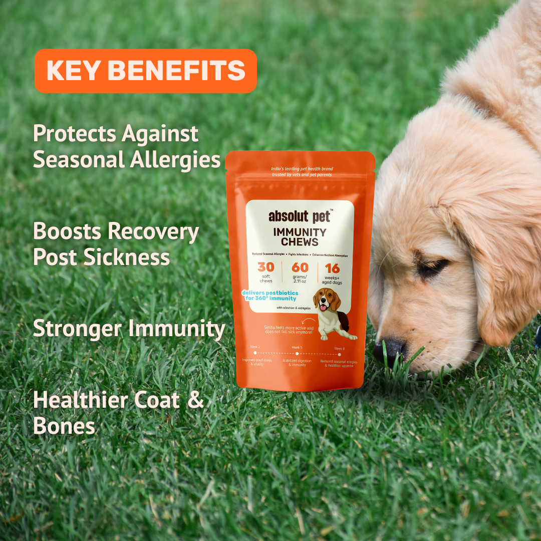 Immunity Chews