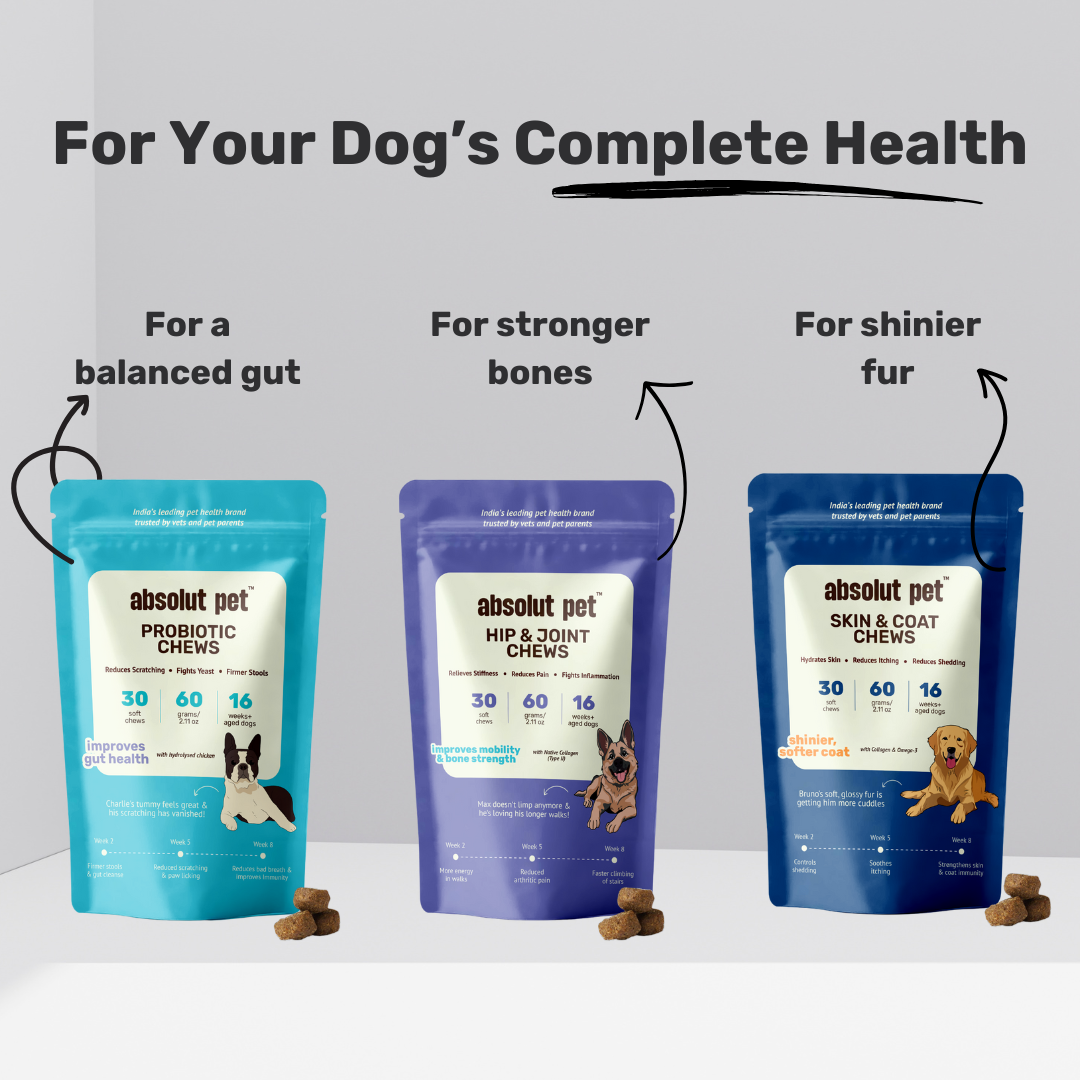 Skin & Coat Chews