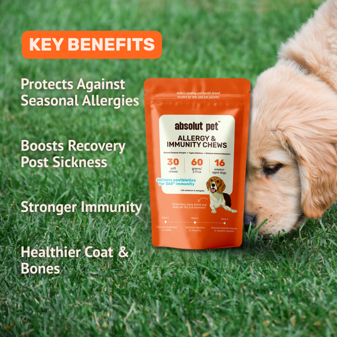 Allergy & Immunity Chews