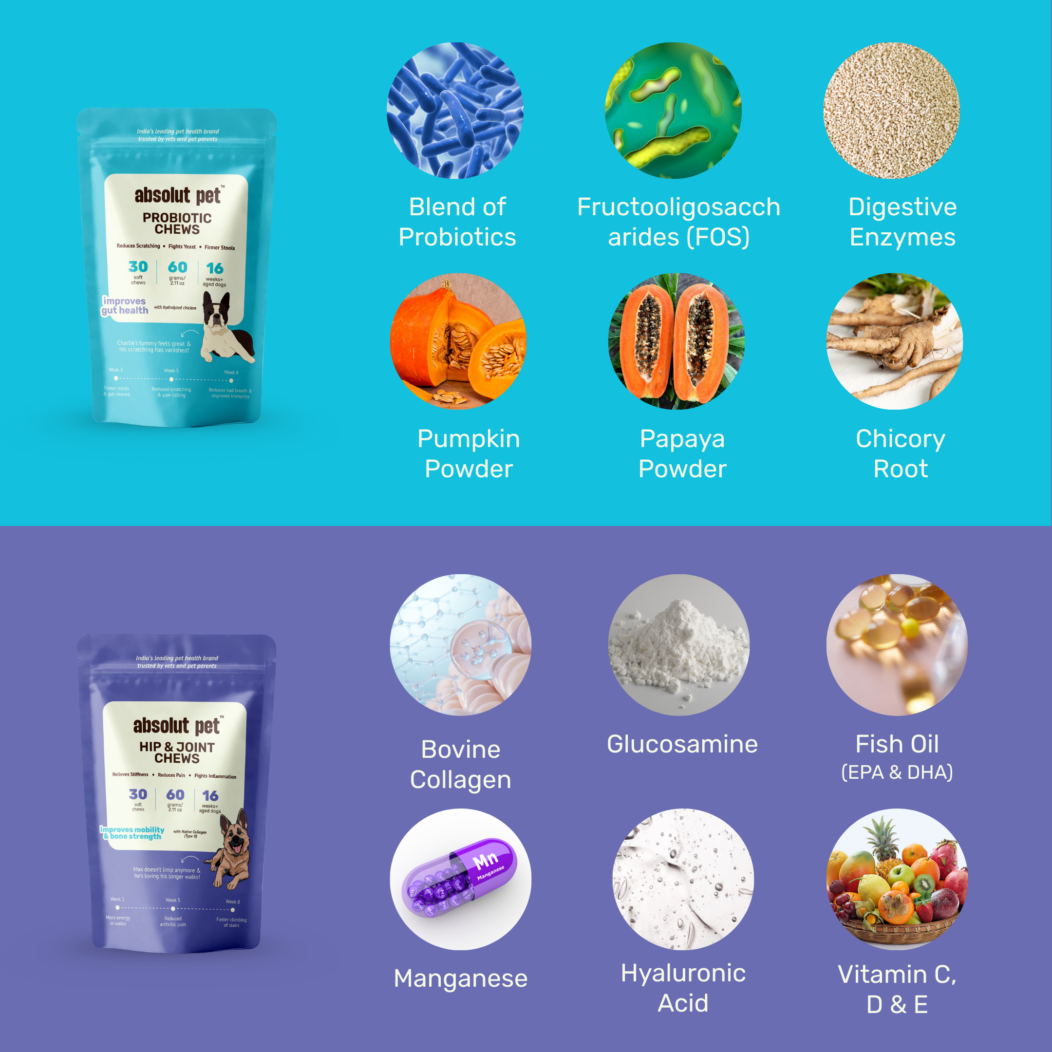 Probiotic And Hip & Joint Combo
