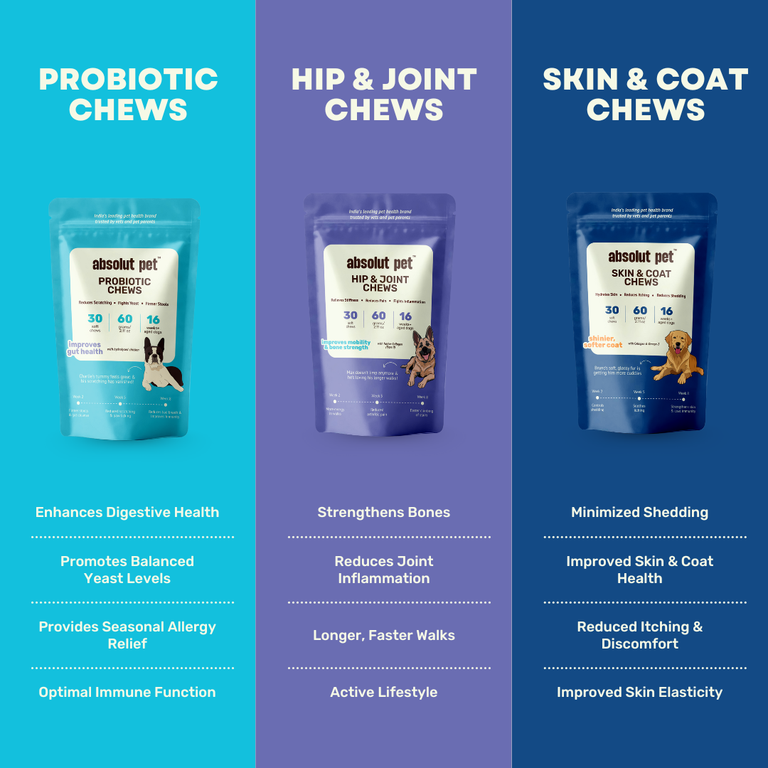 Probiotic, Hip & Joint, Skin & Coat Combo
