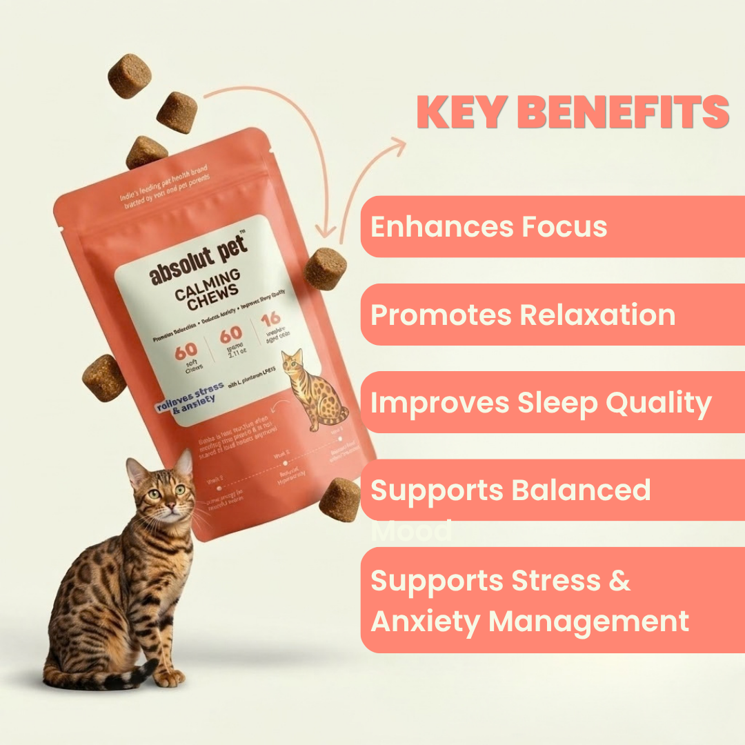 Cat Calming Chews