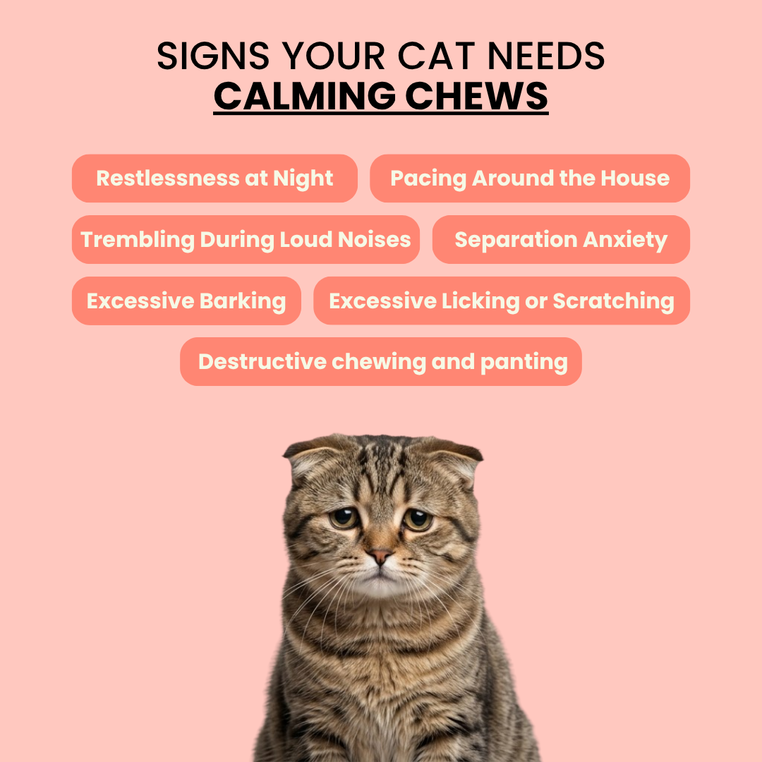 Cat Calming Chews