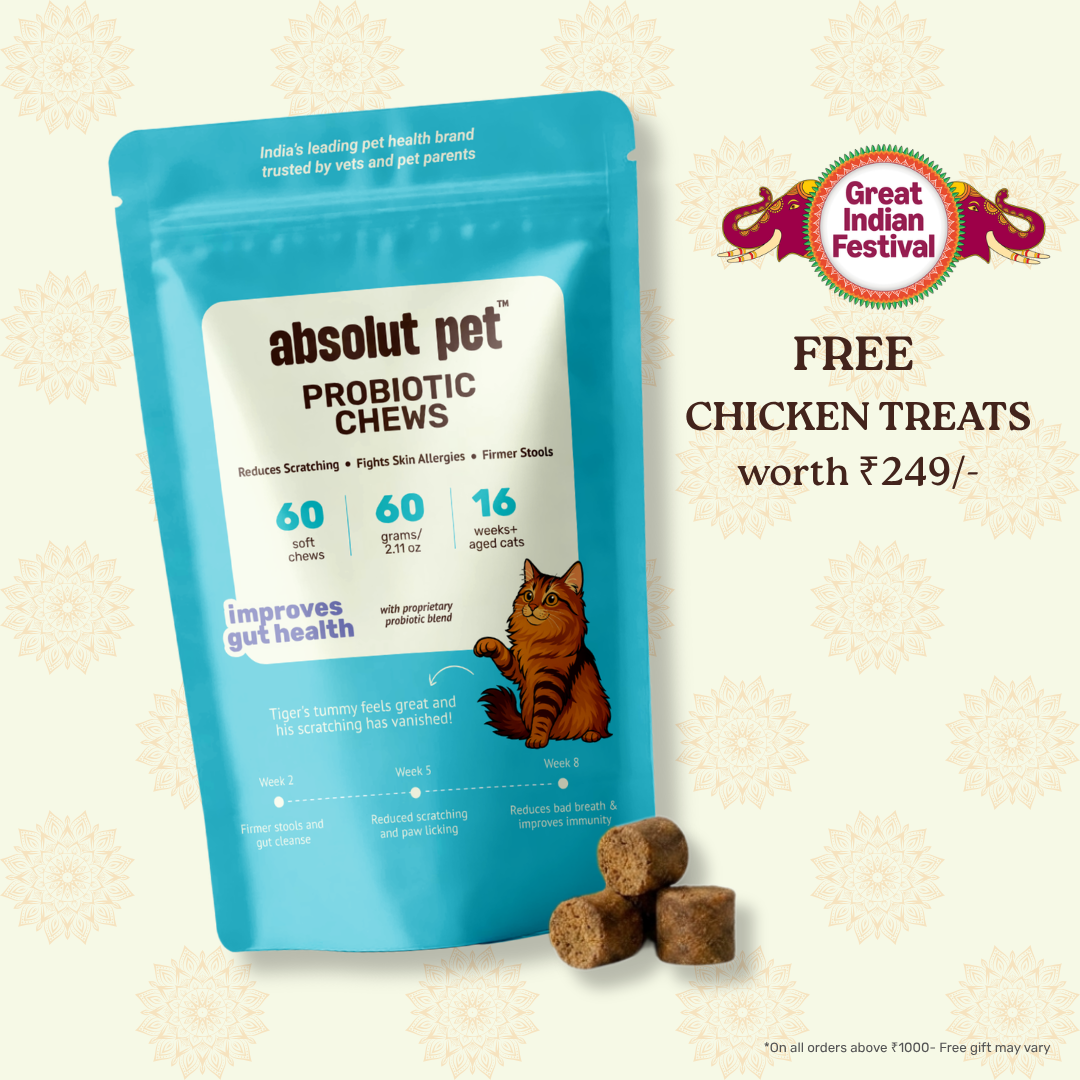 Cat Probiotic Supplement