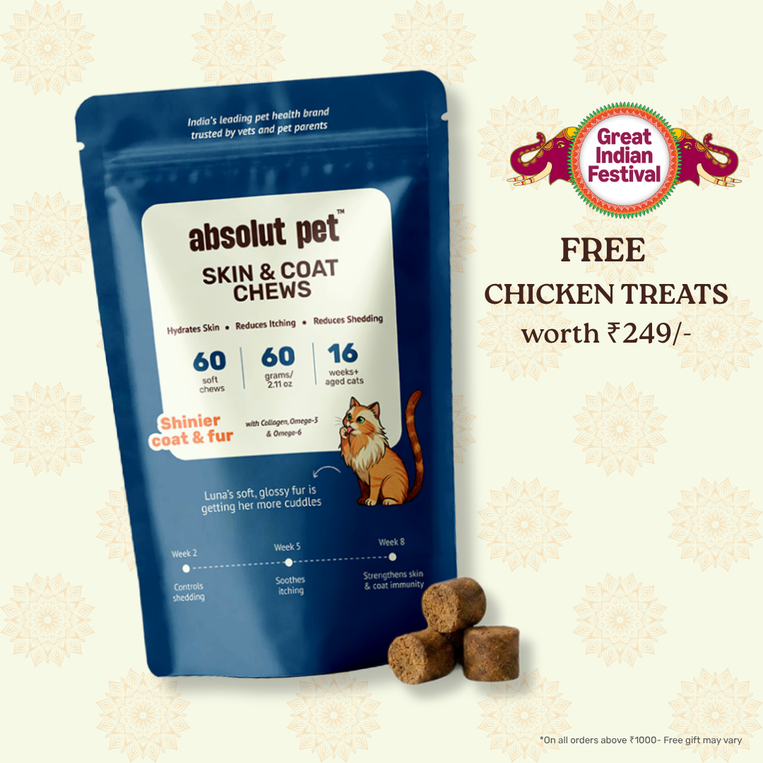 Cat Skin & Coat Supplement