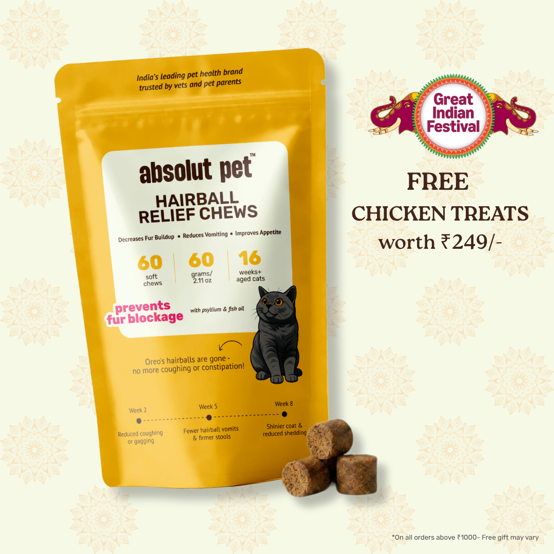 Cat Hairball Relief Supplement