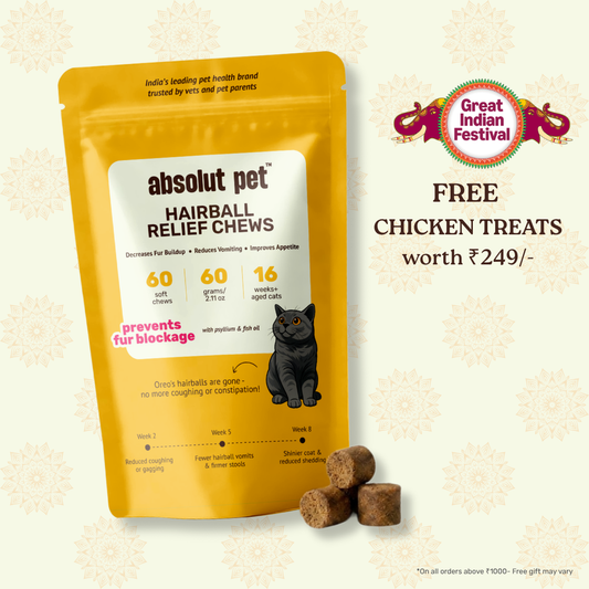 Cat Hairball Relief Supplement