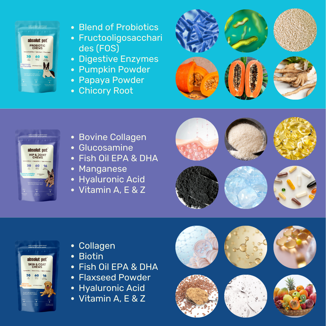 Probiotic, Hip & Joint, Skin & Coat Combo