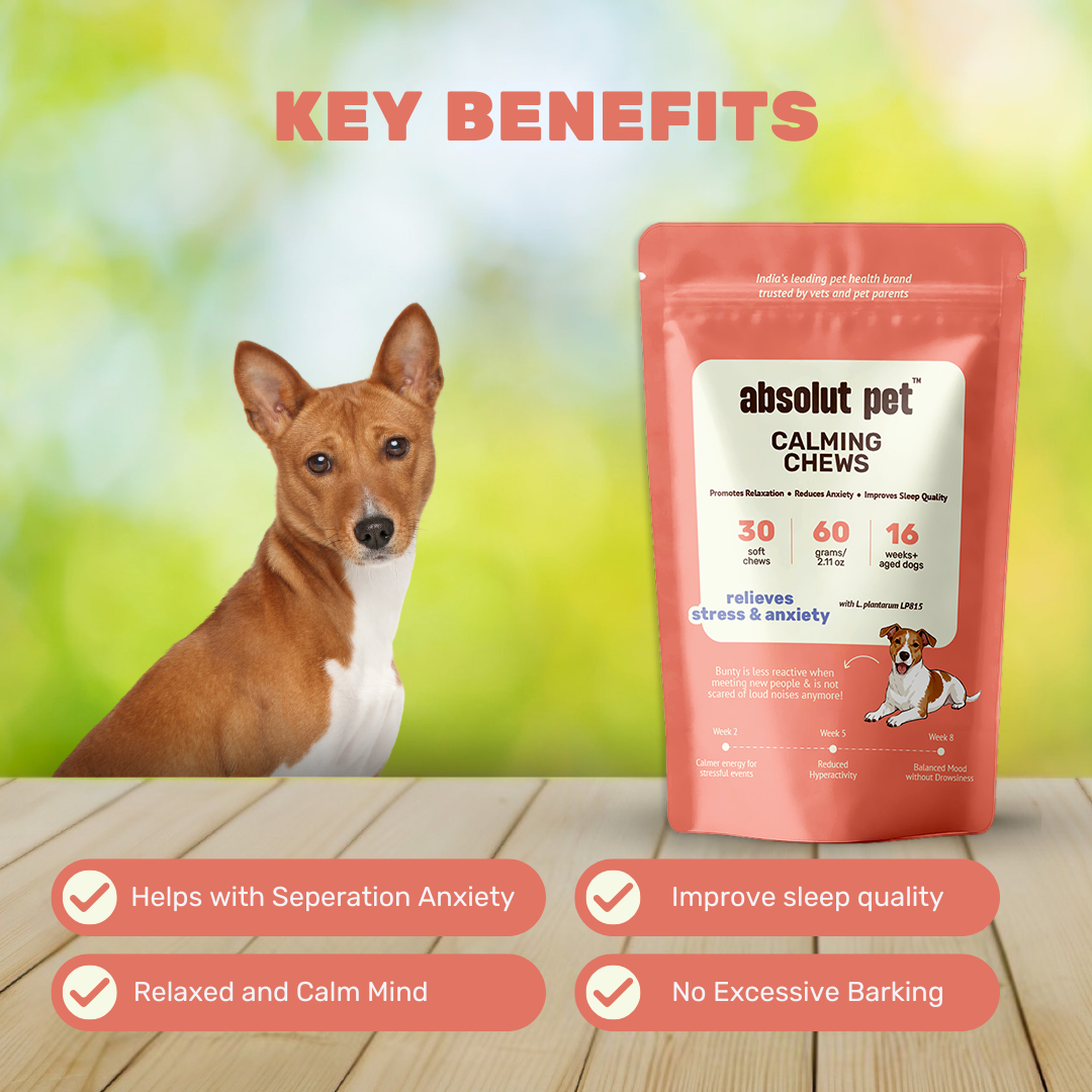 Dog Calming Chews