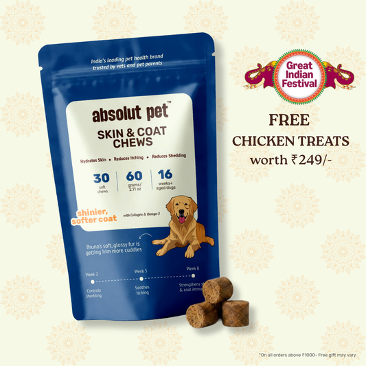 Skin & Coat Supplement
