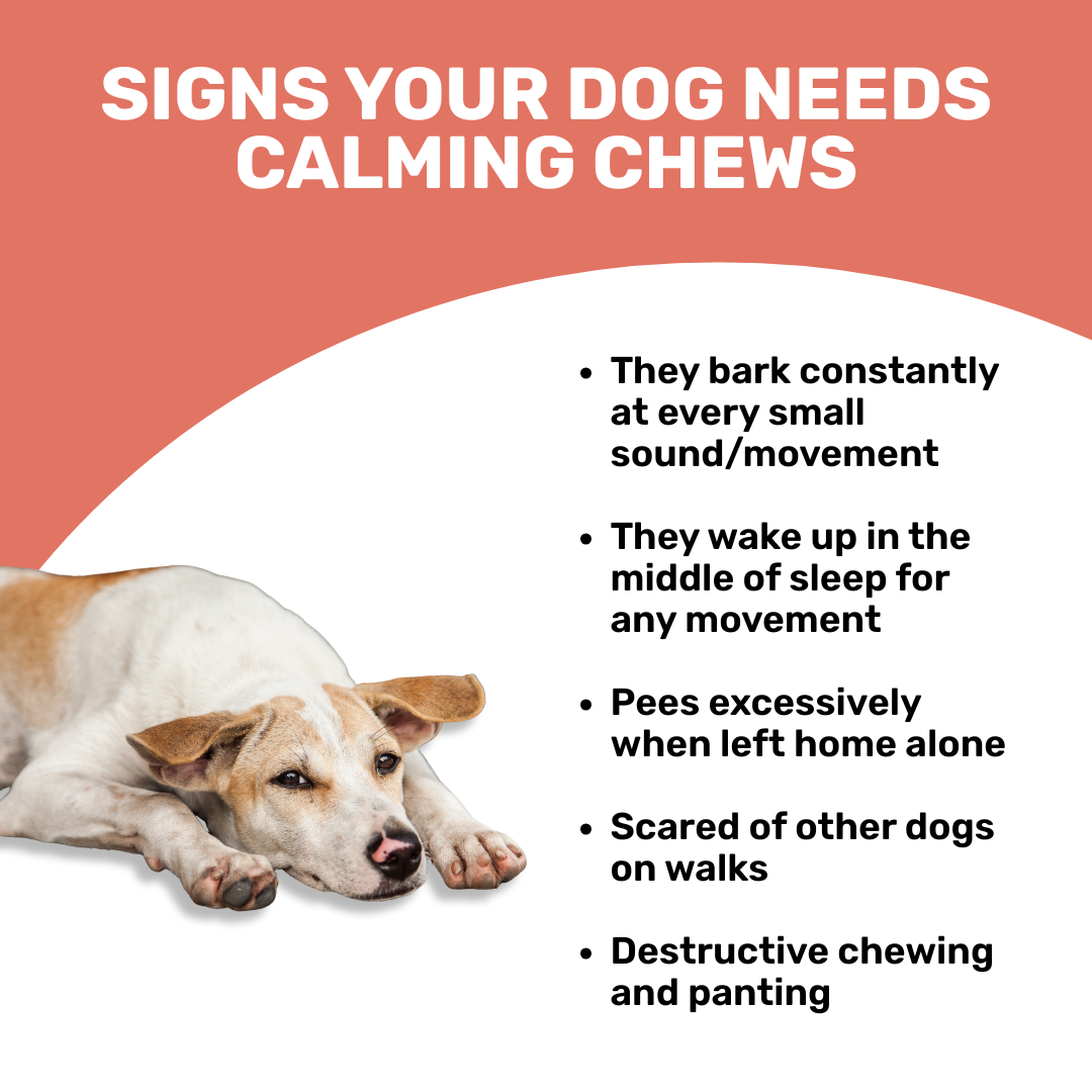 Dog Calming Chews