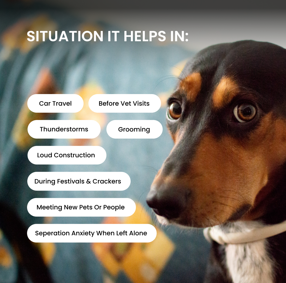 Dog Calming Chews