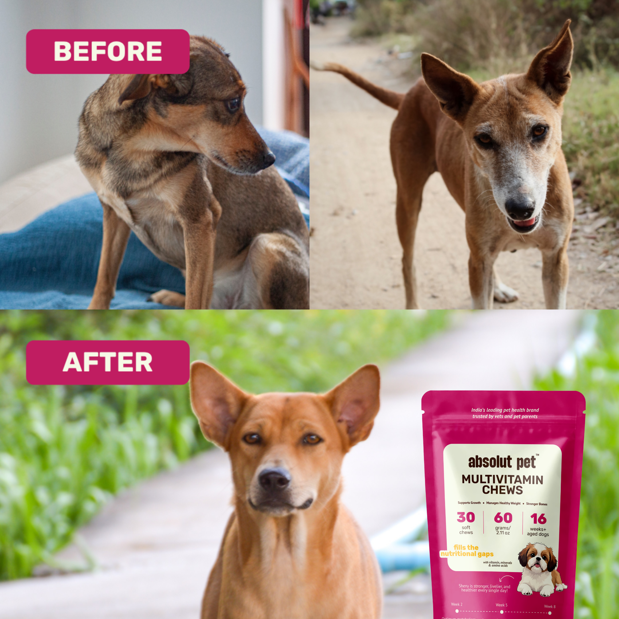 Immunity & Multivitamin Chews Combo