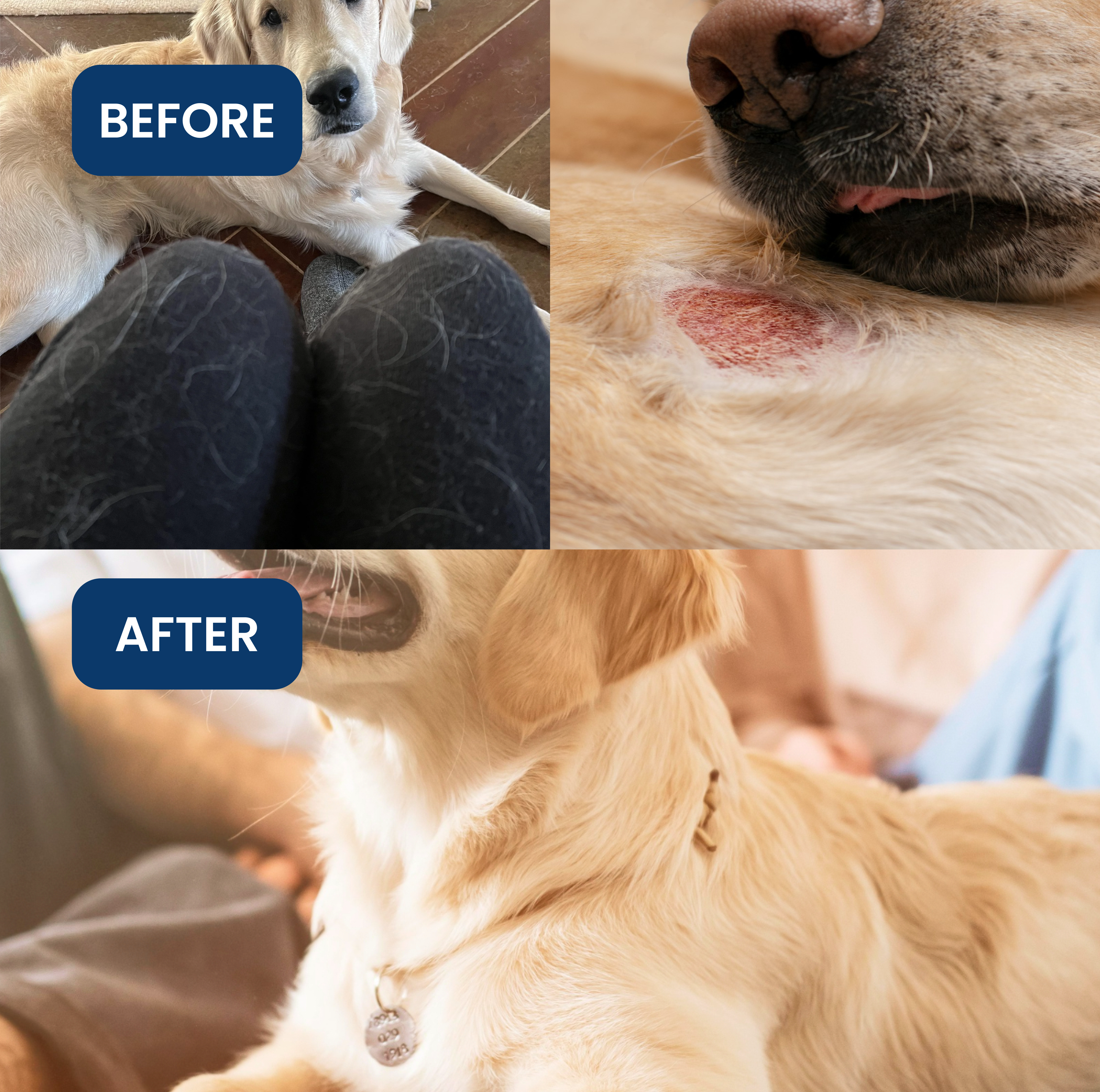 Skin & Coat Chews