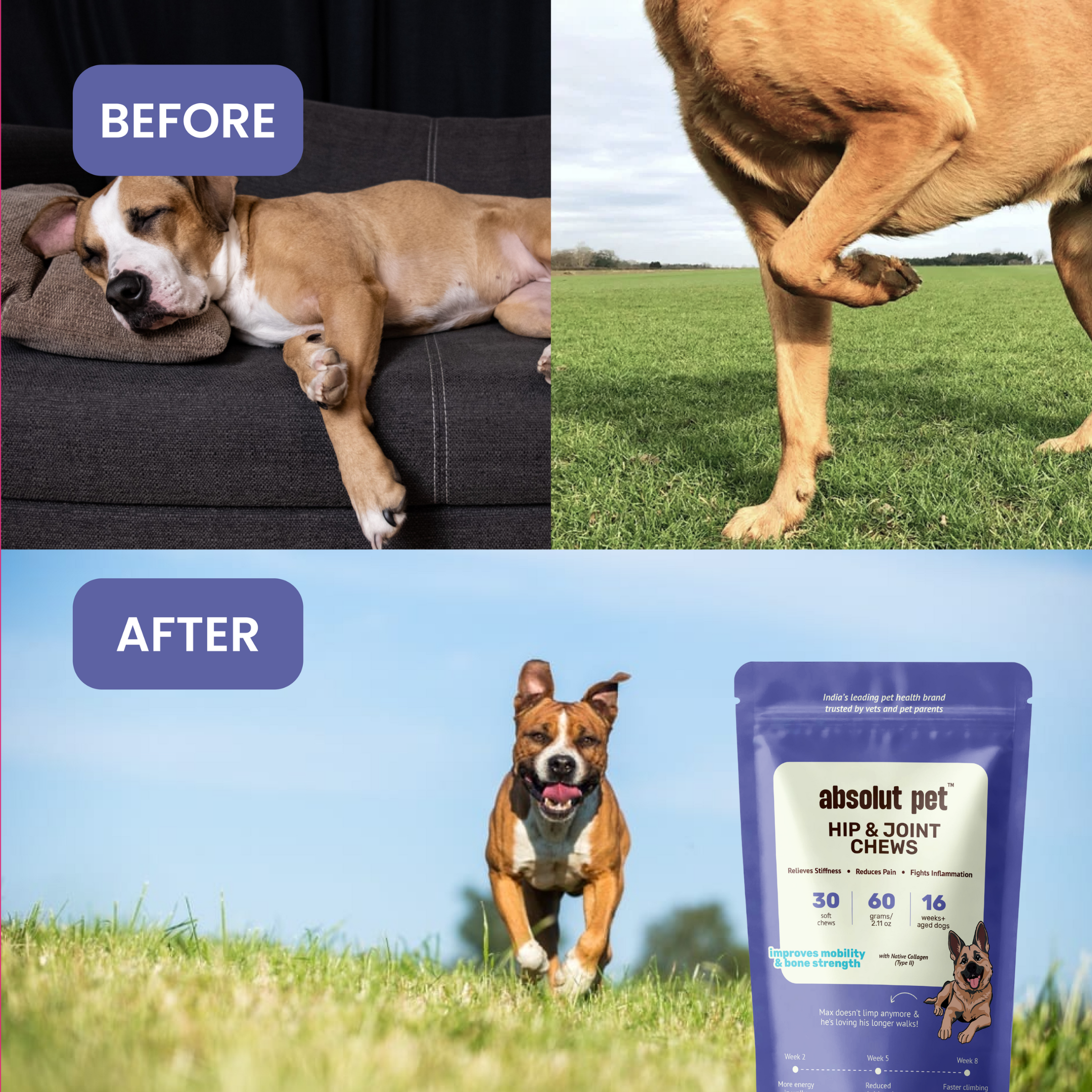 Probiotic, Hip & Joint, Skin & Coat Combo