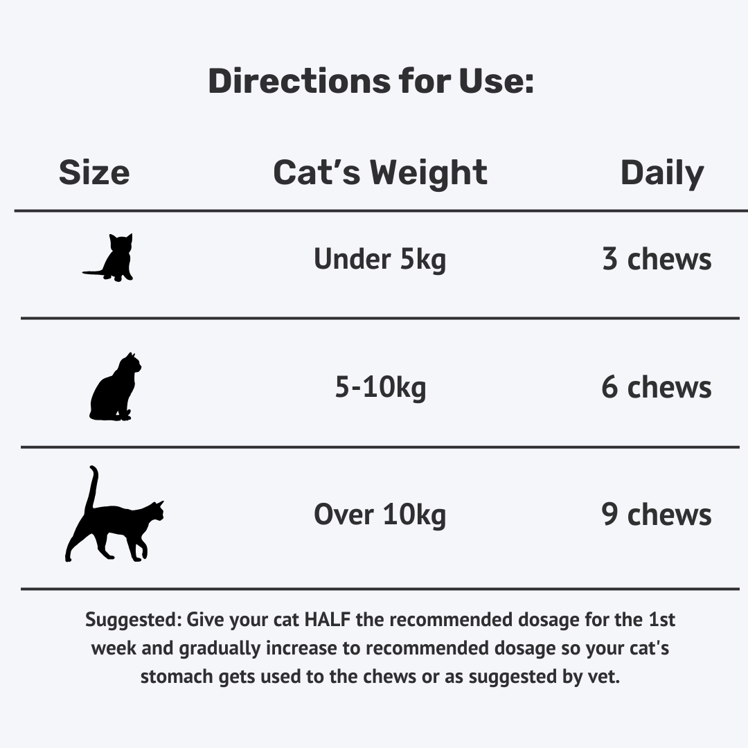Cat Probiotic Supplement