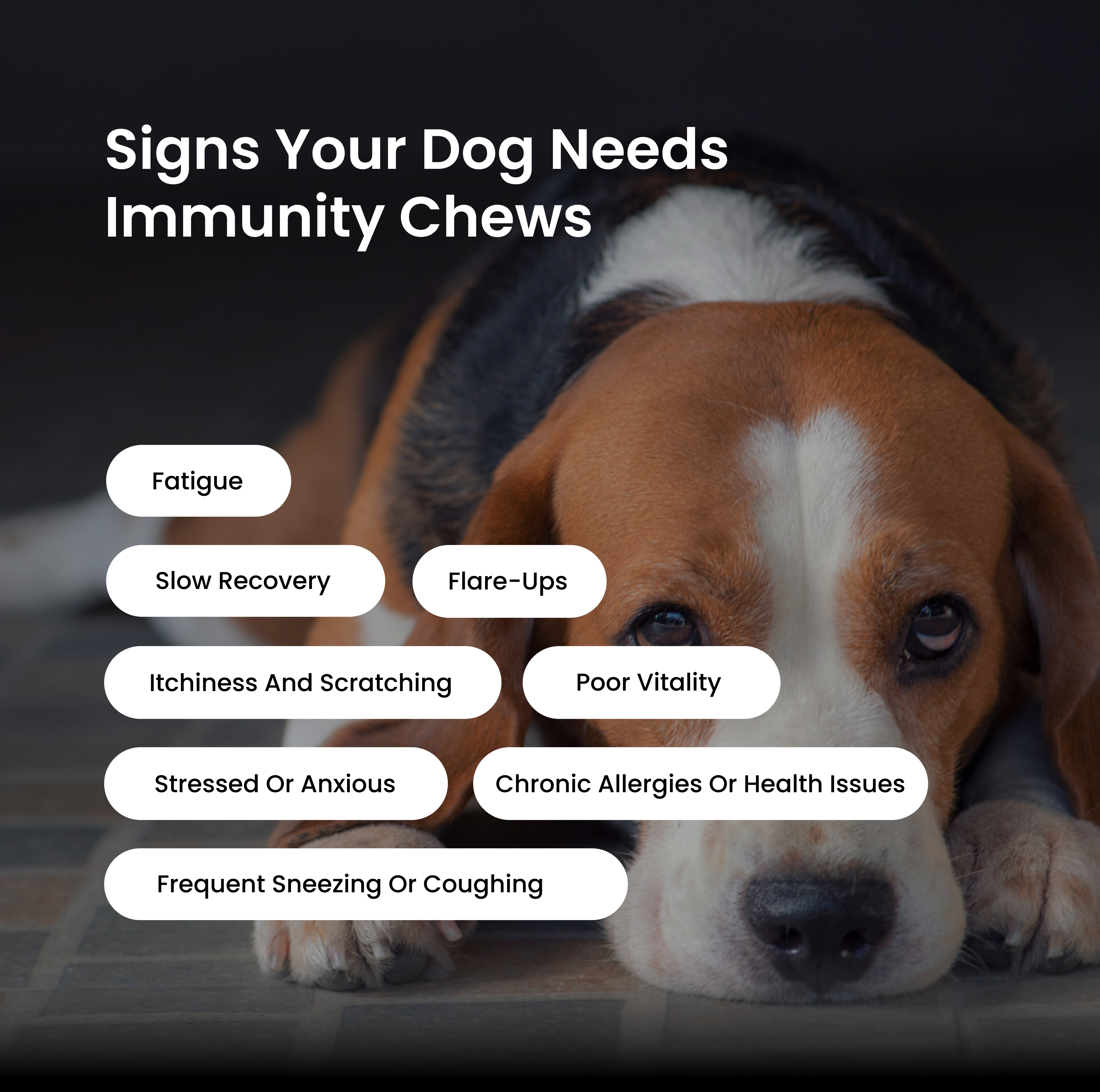 Immunity & Multivitamin Chews Combo