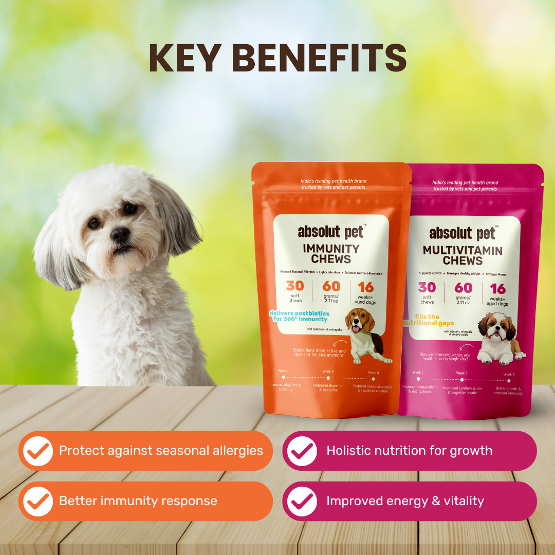 Immunity & Multivitamin Chews Combo