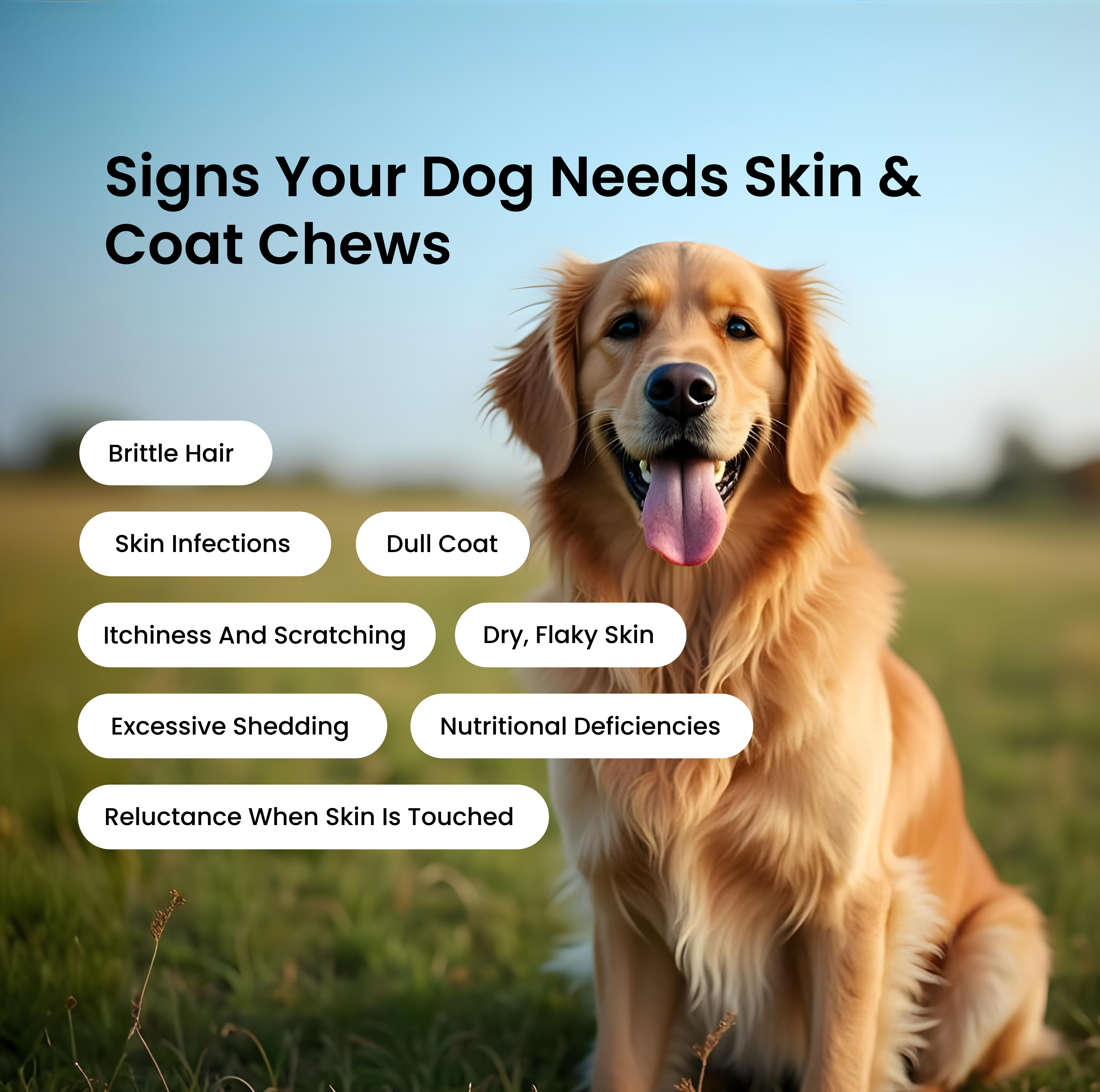 Skin & Coat Chews