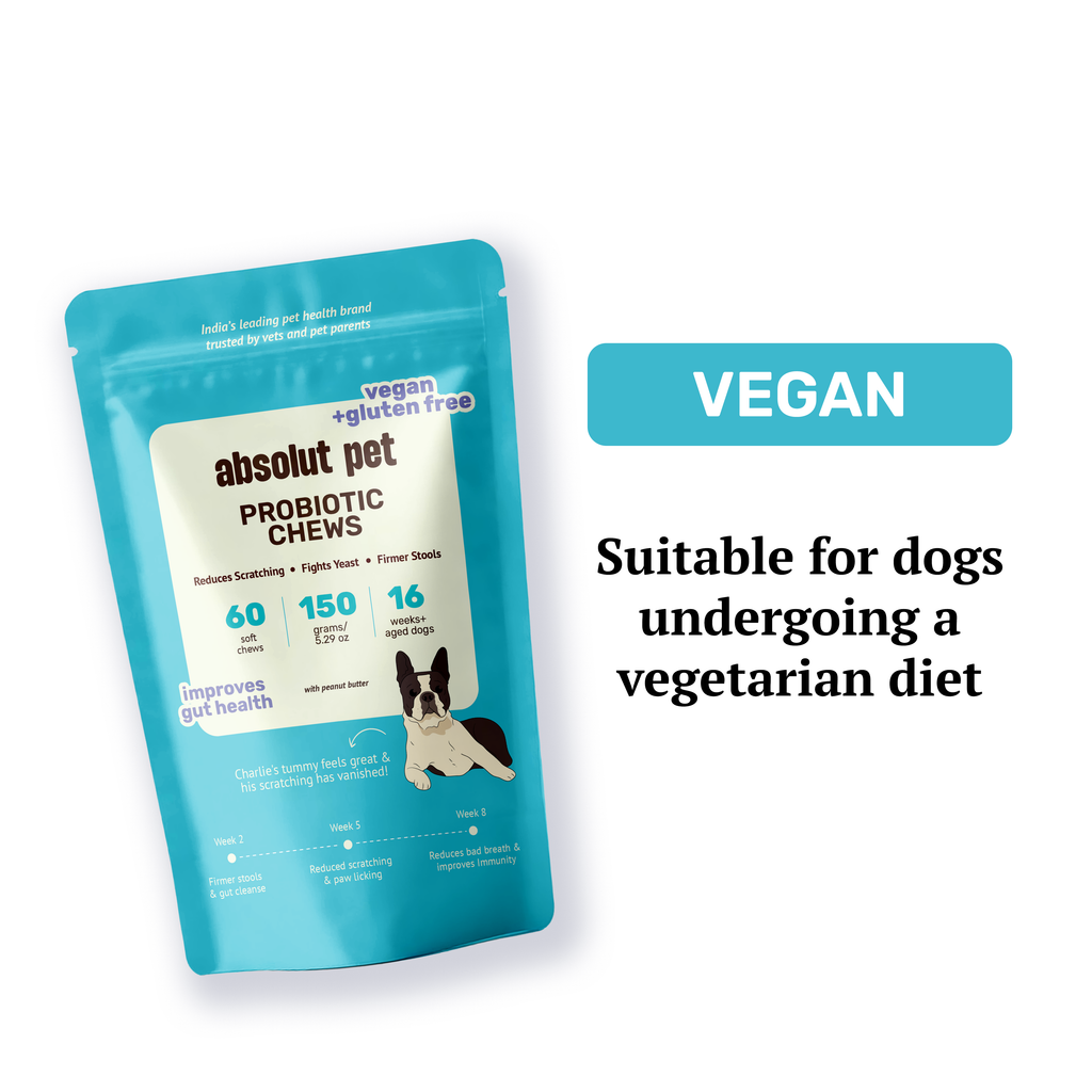 Probiotic & Gut Chews | #1 Probiotics for Dogs – Absolut Pet India